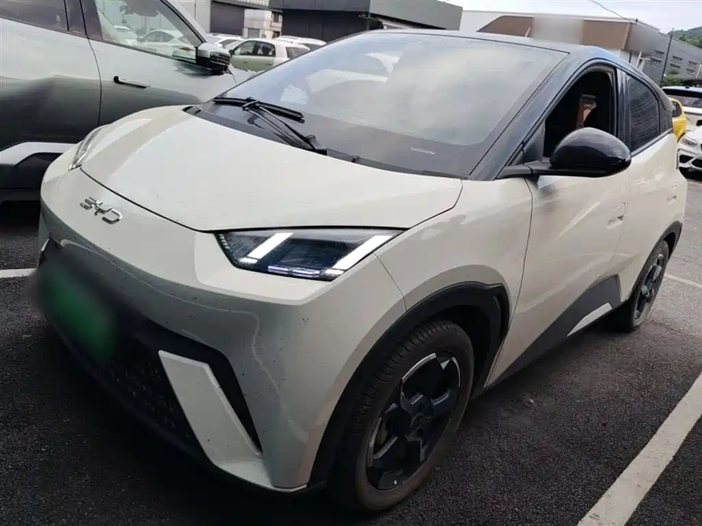BYD Seagull 2024