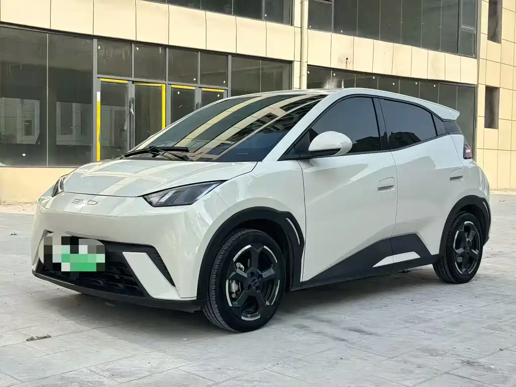 BYD Seagull 2024