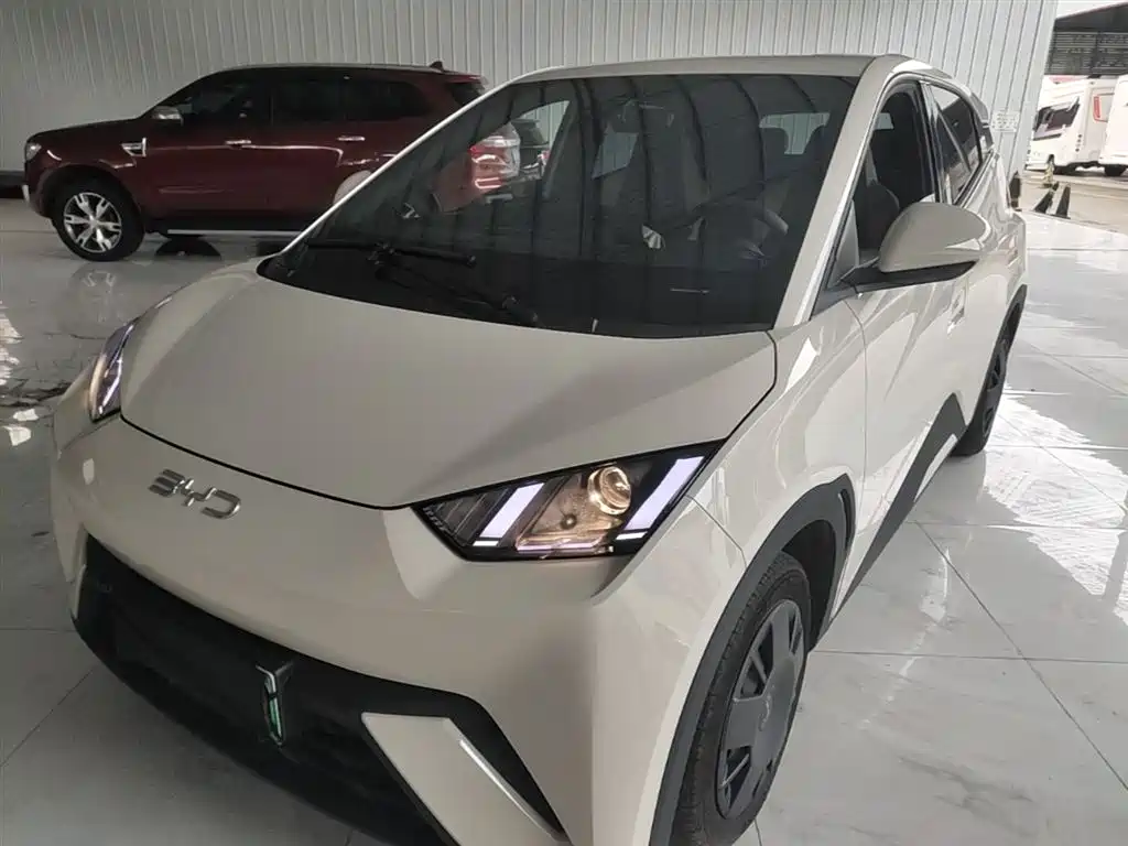 BYD Seagull 2024