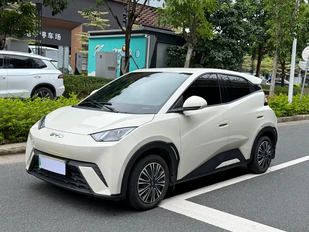 BYD Seagull 2025