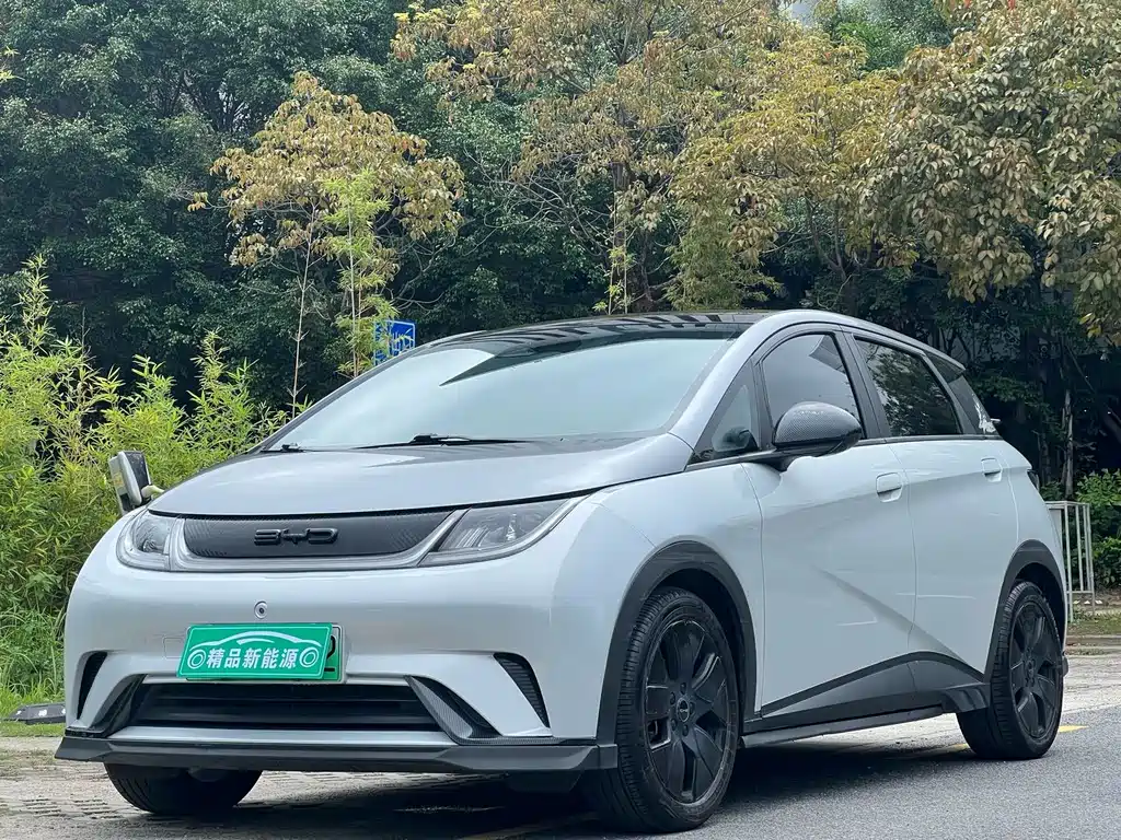 BYD Dolphin 2022