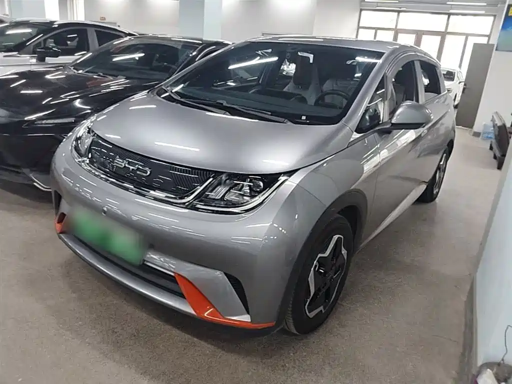 BYD Dolphin 2022