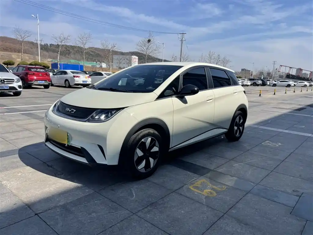 BYD Dolphin 2025