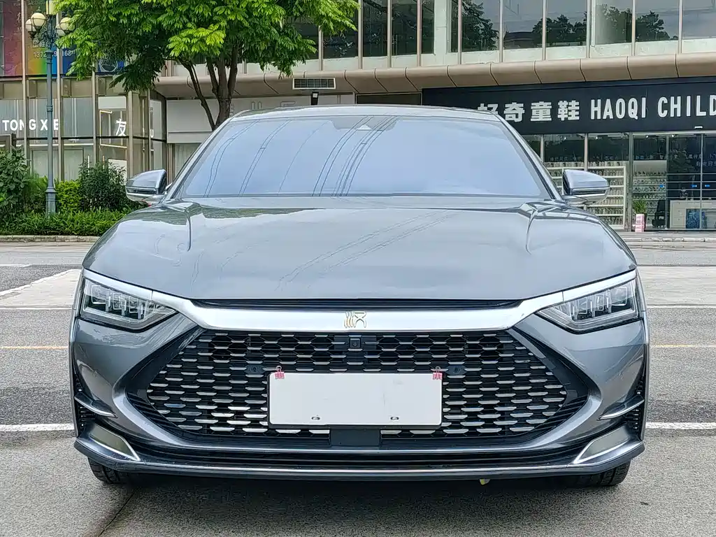 BYD Han 2022
