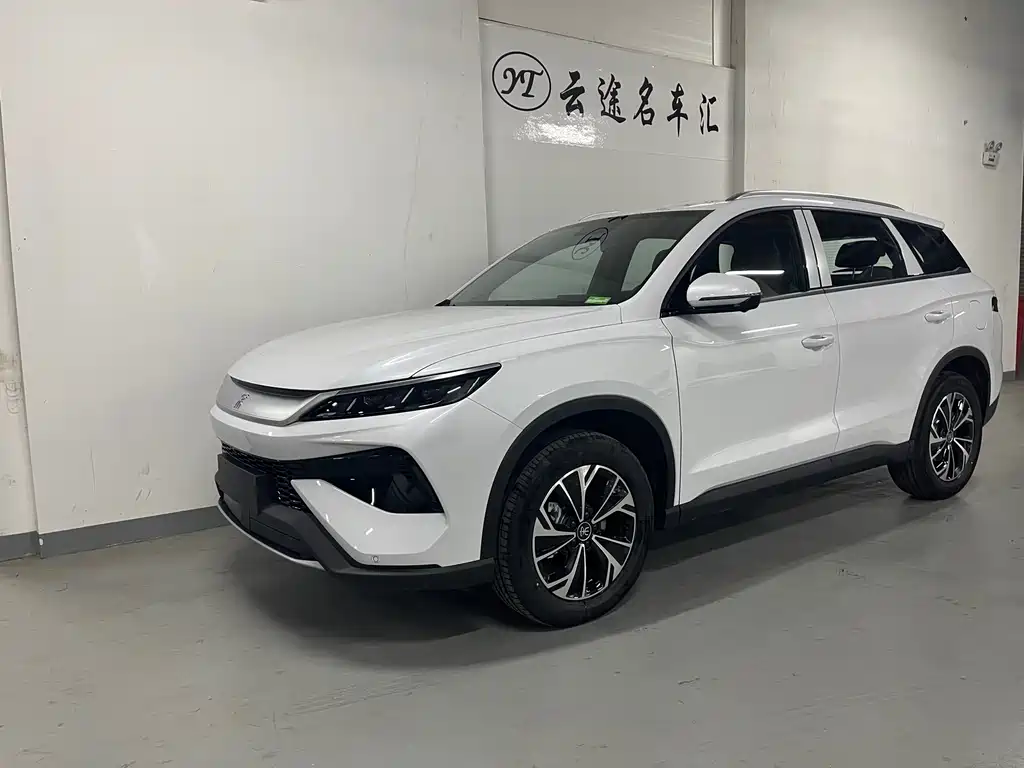 BYD Pro New Energy 2025