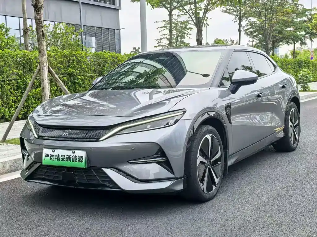 BYD L EV 2024