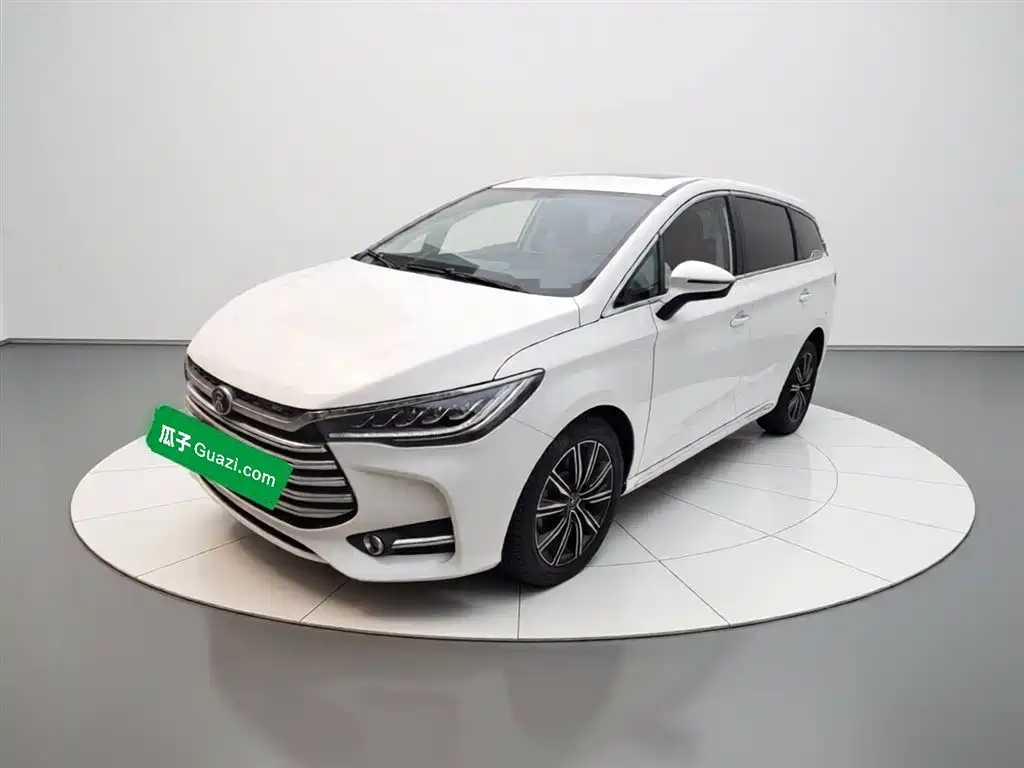 BYD MAX New Energy 2019