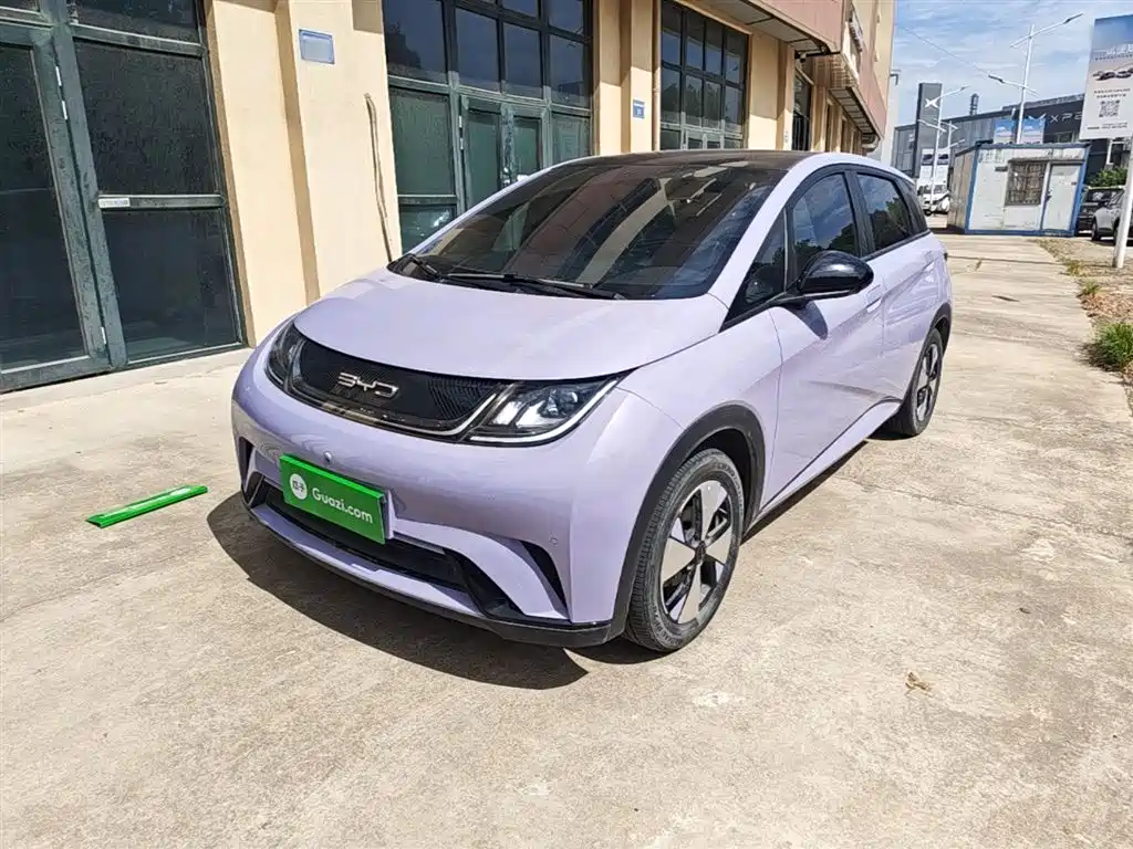 BYD Dolphin 2024