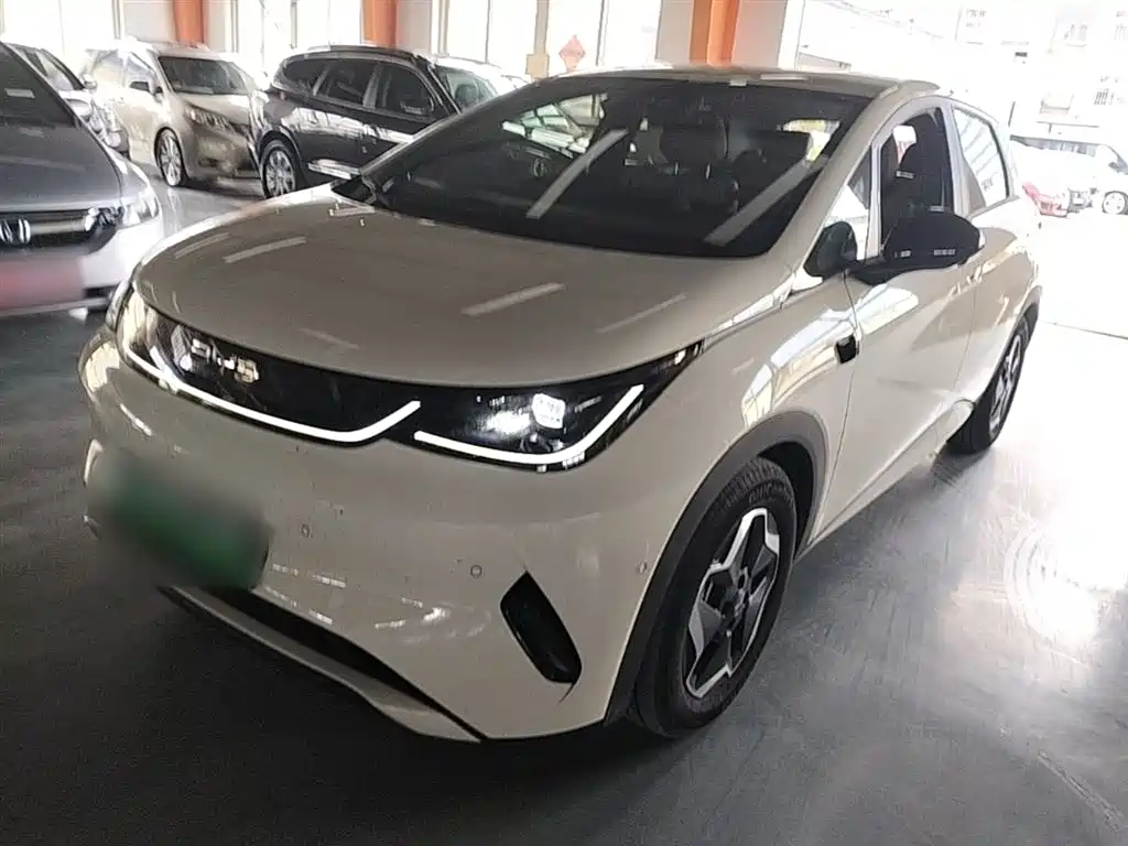 BYD Dolphin 2025