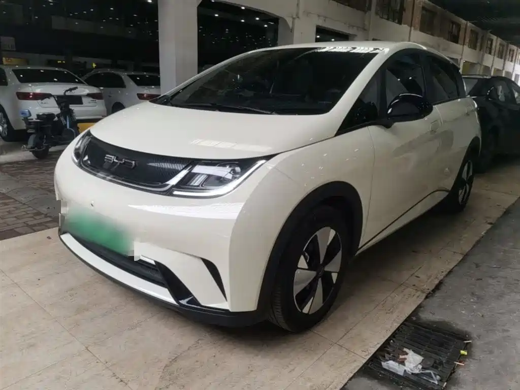 BYD Dolphin 2024