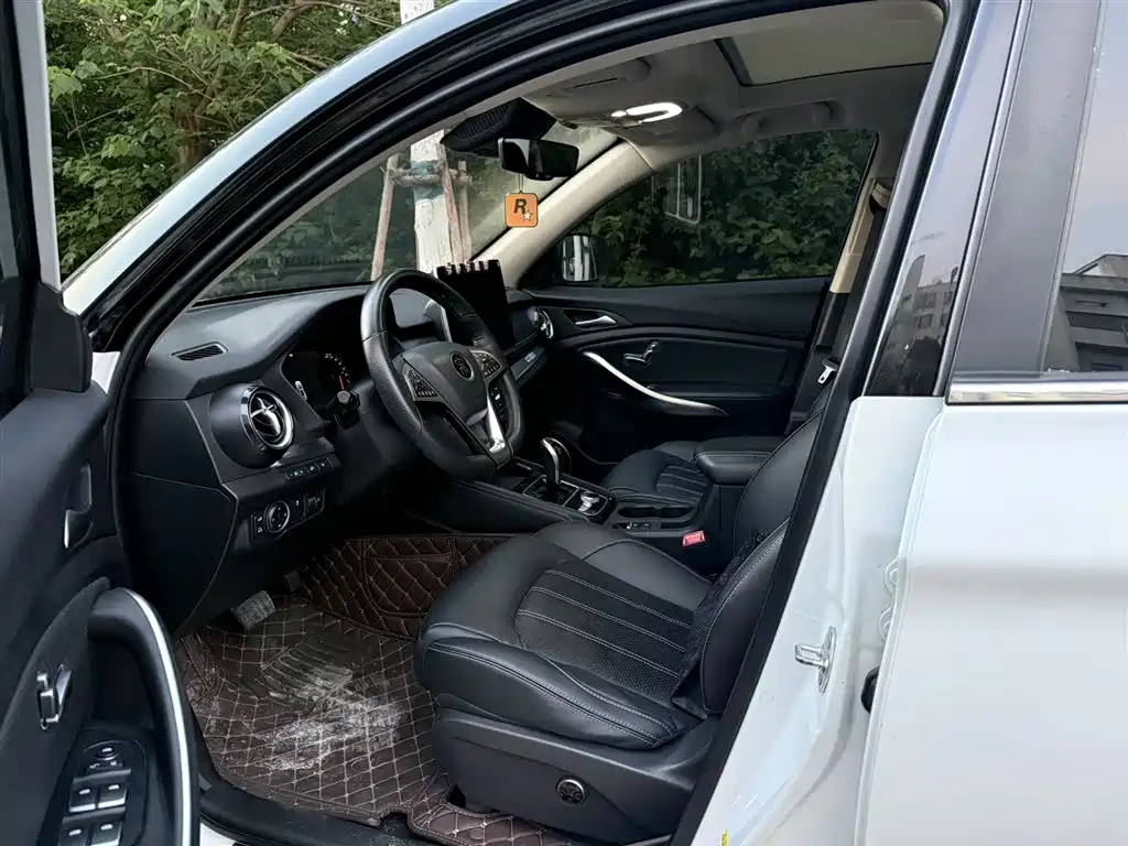 BYD New Energy 2019