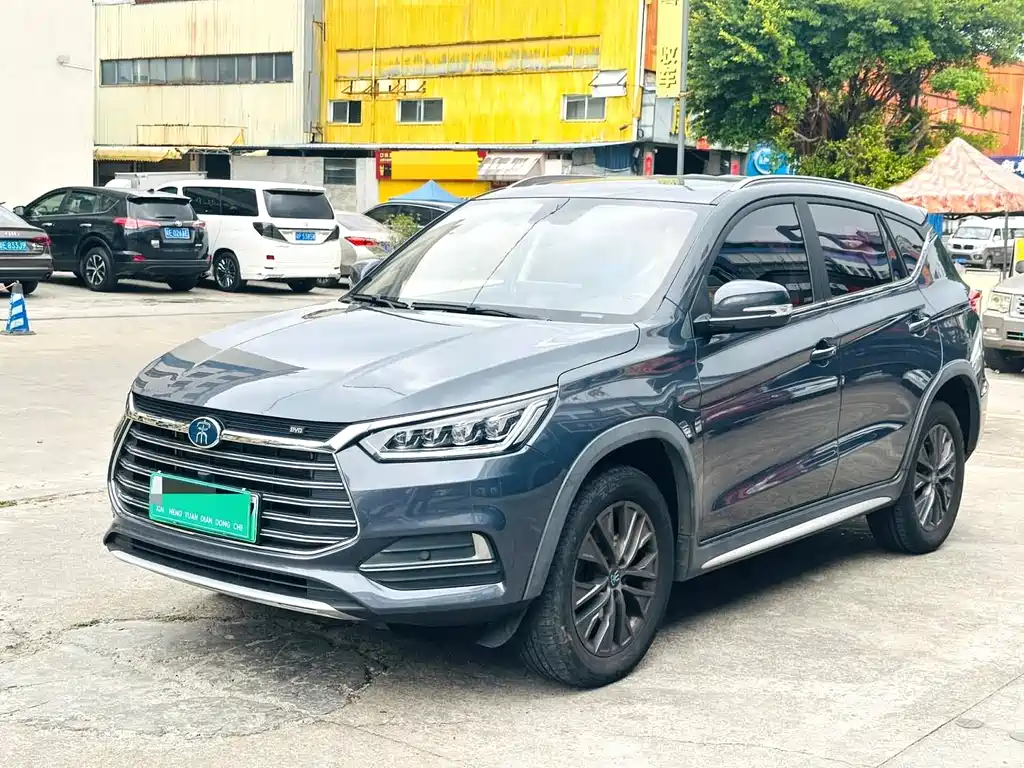 BYD New Energy 2019