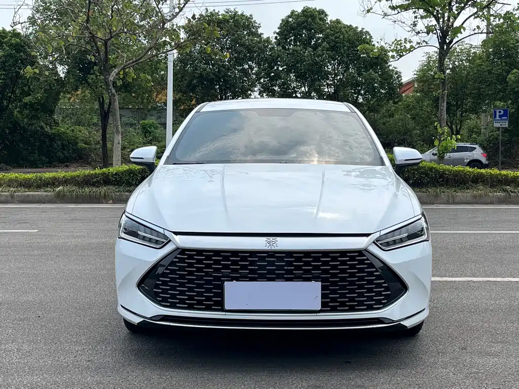 BYD Qin PLUS 2021