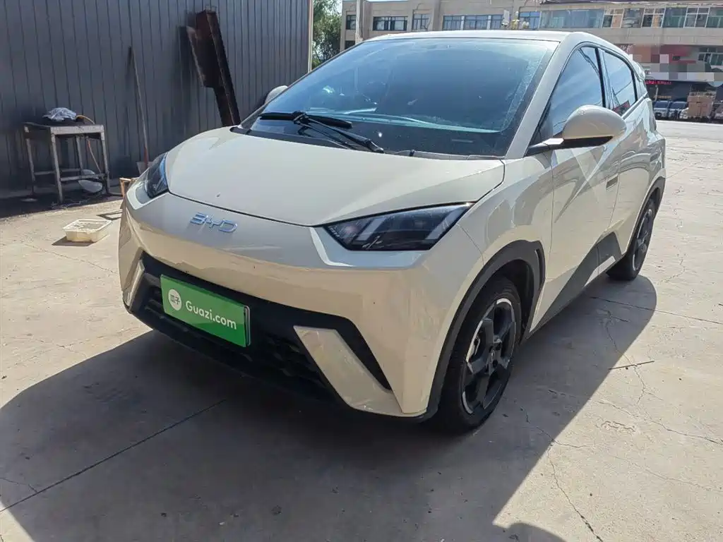 BYD Seagull 2024