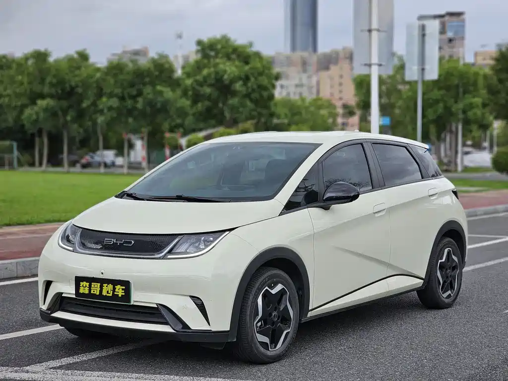 BYD Dolphin 2022