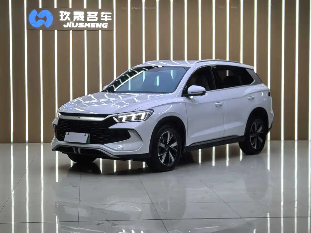 BYD Pro New Energy 2025