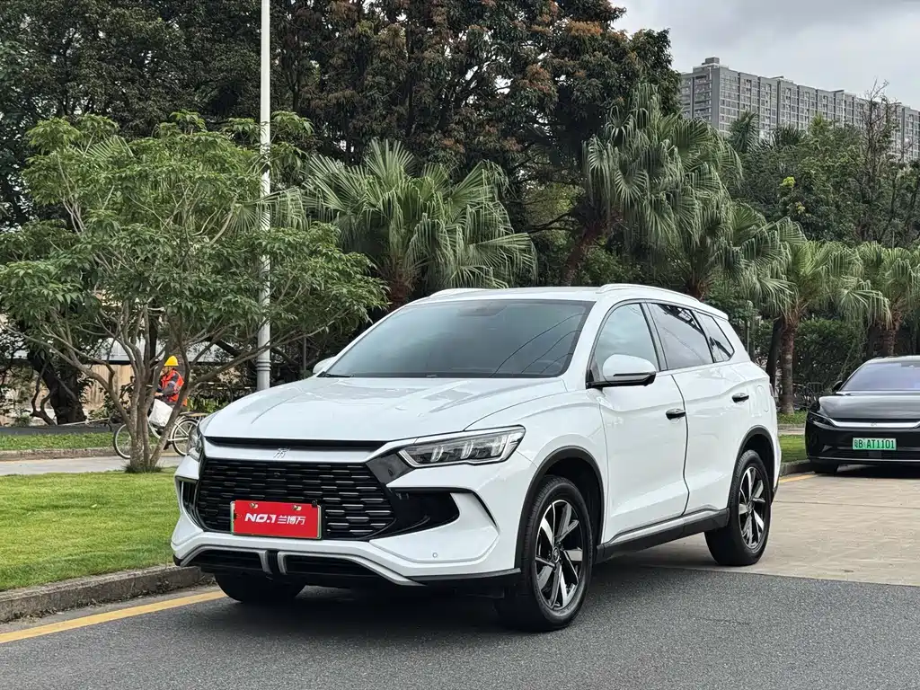 BYD Pro New Energy 2024