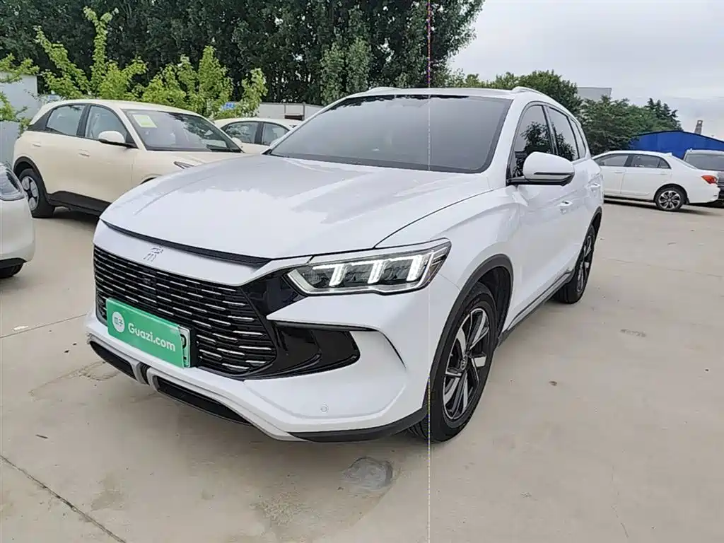 BYD Pro New Energy 2024