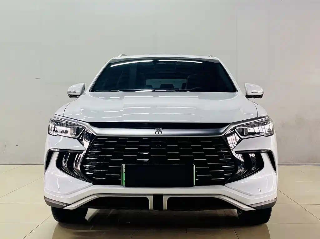 BYD Pro New Energy 2023