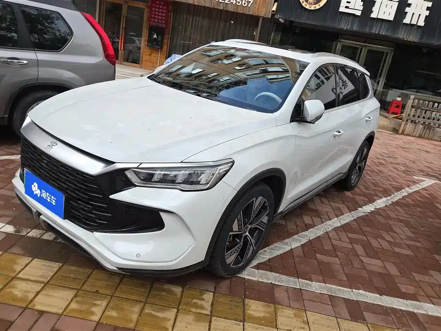 BYD Pro New Energy 2024