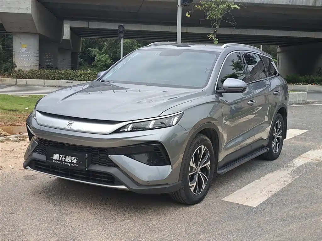 BYD Pro New Energy 2025