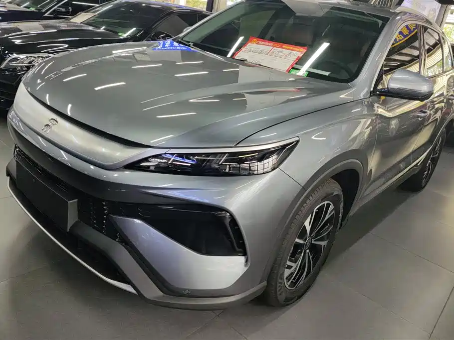 BYD Pro New Energy 2024