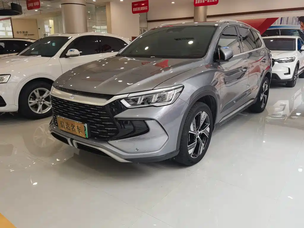 BYD Pro New Energy 2024