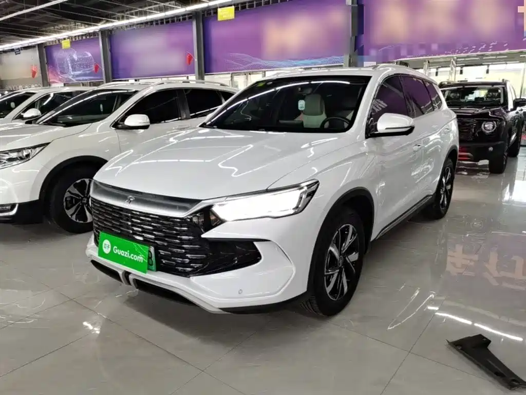 BYD Pro New Energy 2025