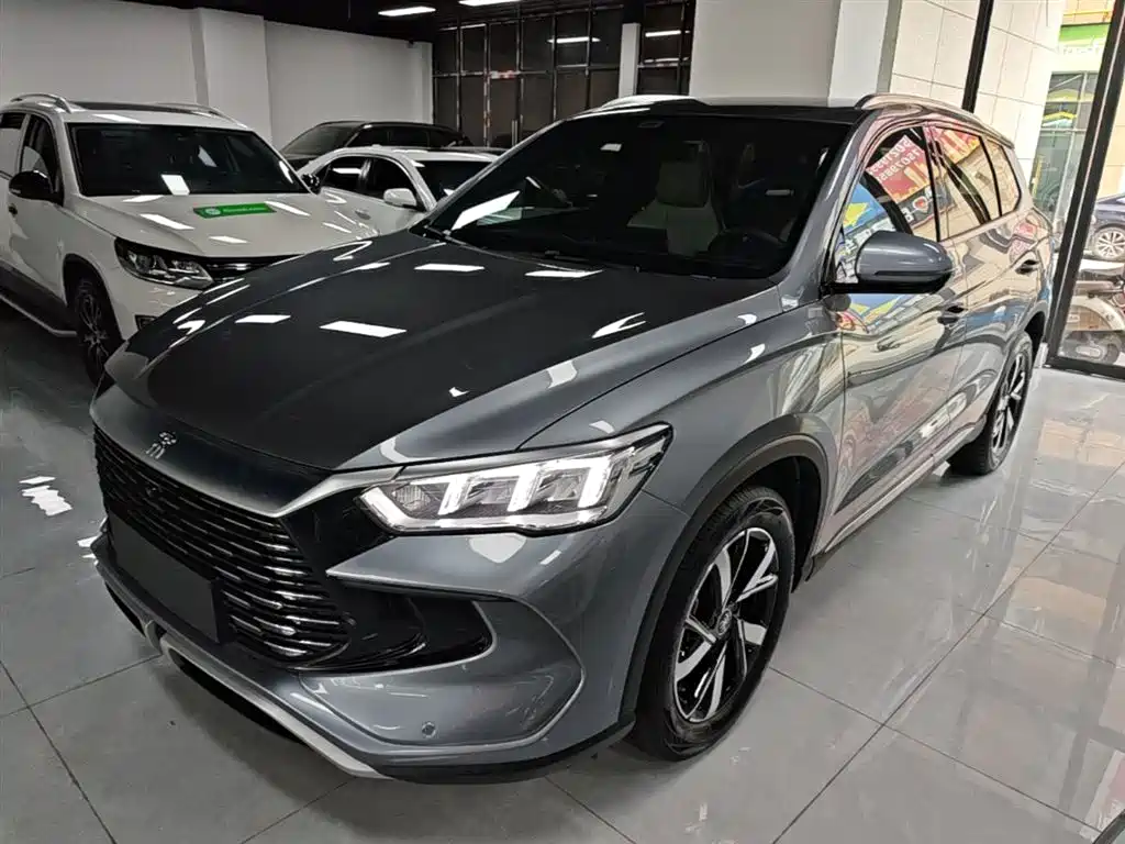 BYD Pro New Energy 2025