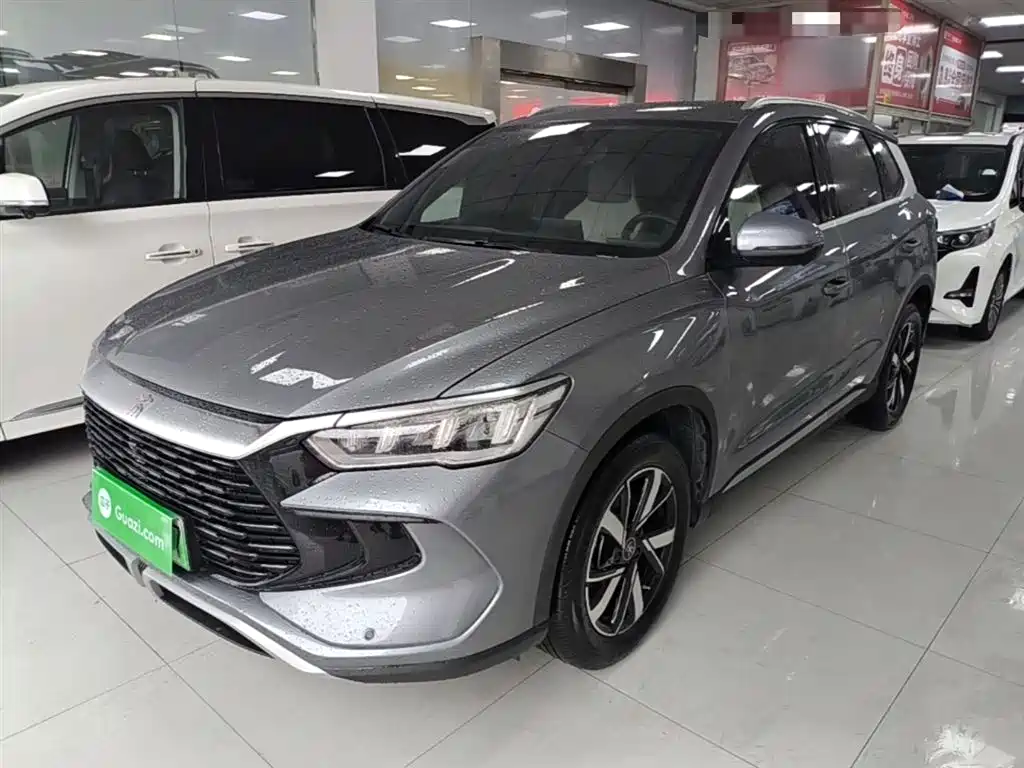 BYD Pro New Energy 2025