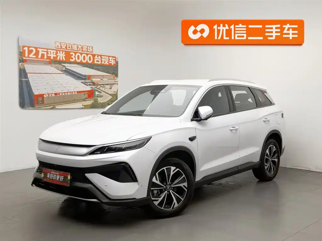 BYD Pro New Energy 2025