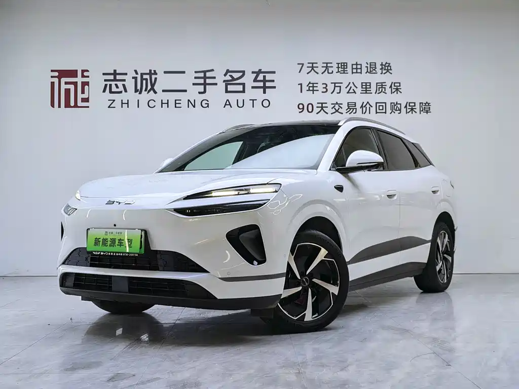 BYD 海狮06 2025
