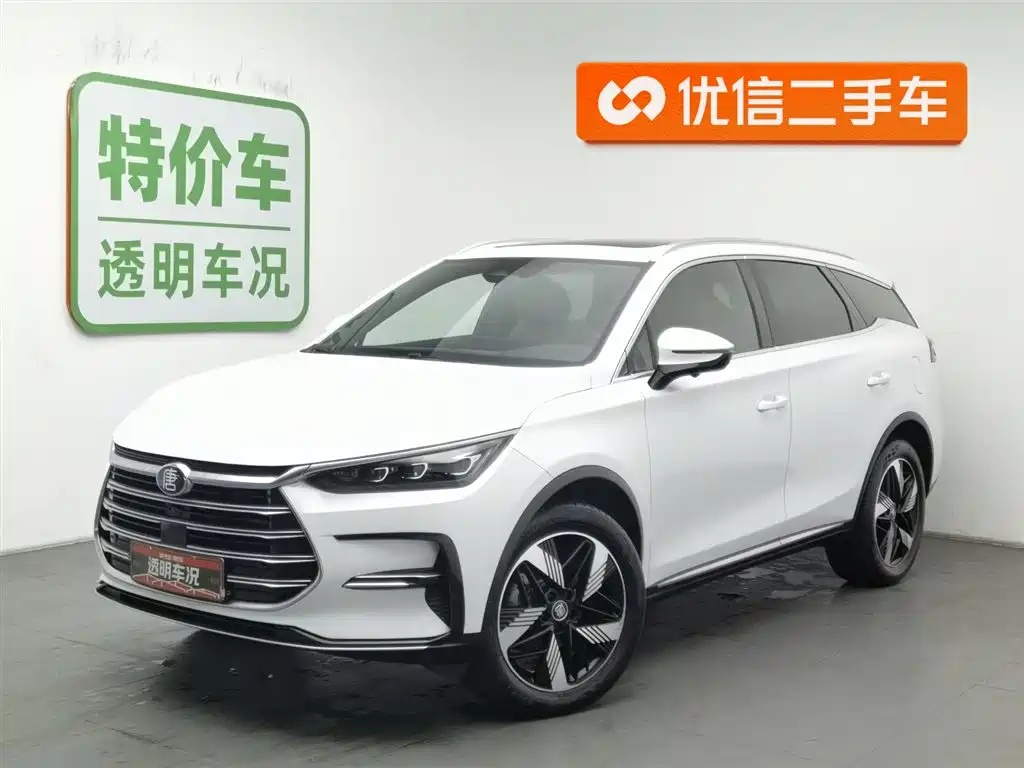 BYD Tang New Energy 2024