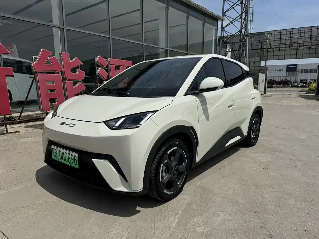 BYD Seagull 2024