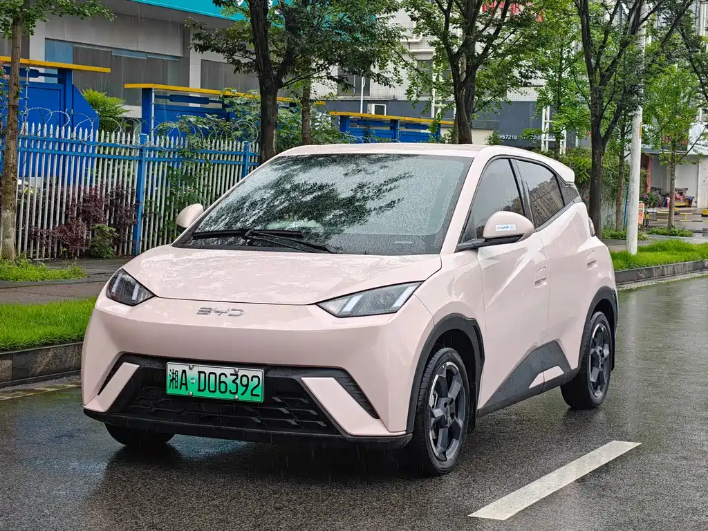 BYD Seagull 2024