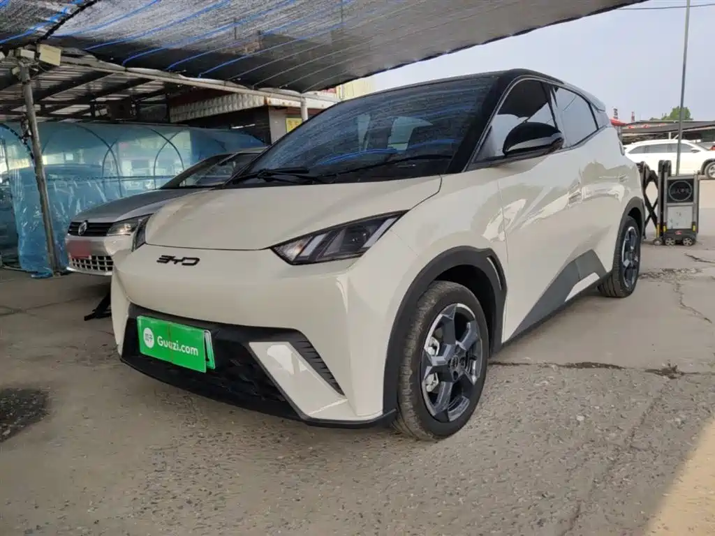 BYD Seagull 2024