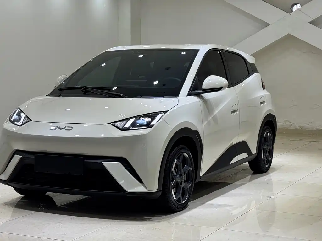 BYD Seagull 2024