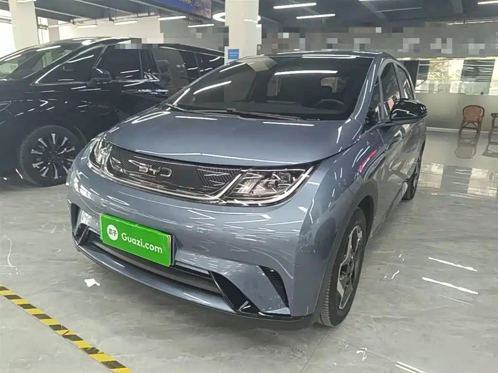 BYD Dolphin 2025