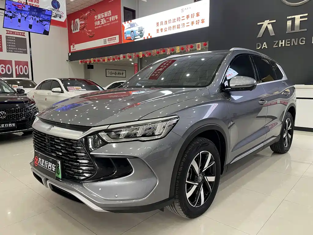 BYD Pro New Energy 2024