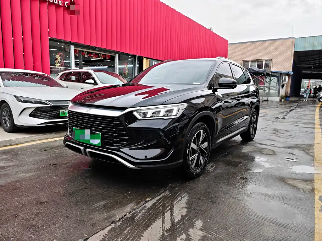 BYD Pro New Energy 2025