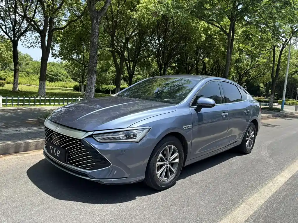BYD Qin PLUS 2024