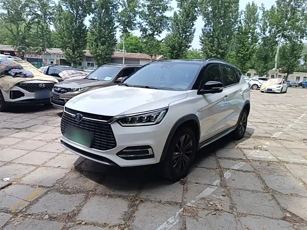 BYD New Energy 2019