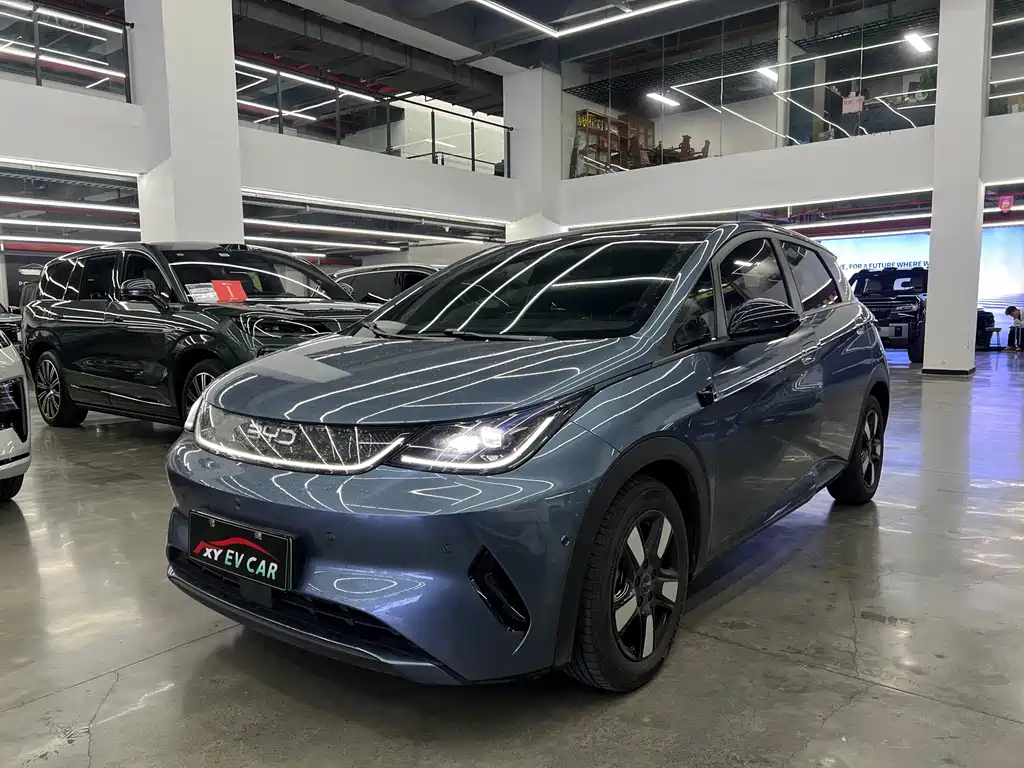 BYD Dolphin 2025