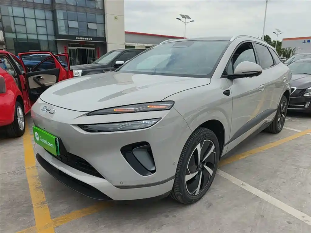 BYD 海狮06 2025
