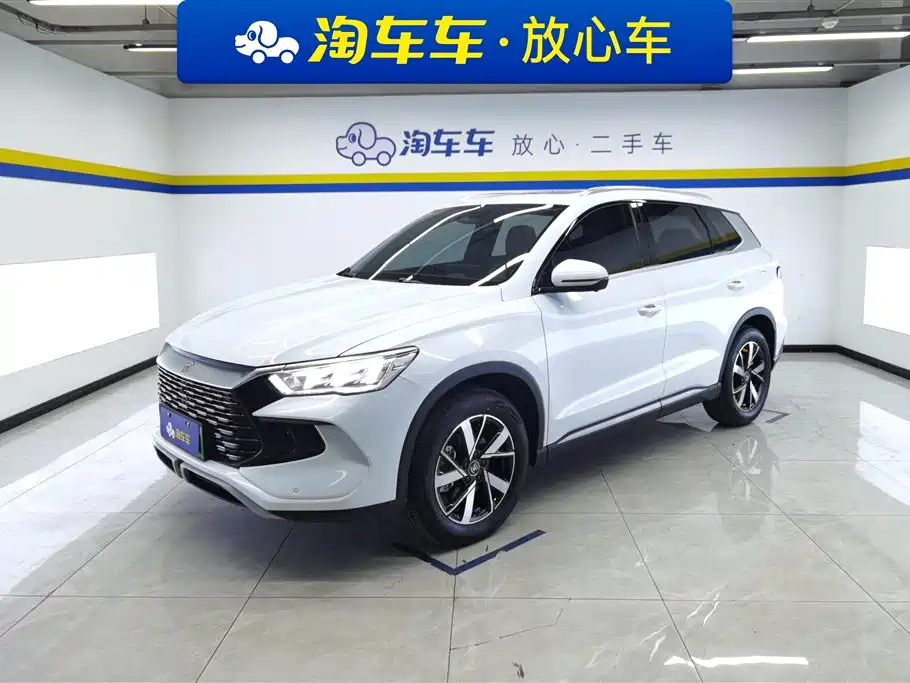 BYD Pro New Energy 2024