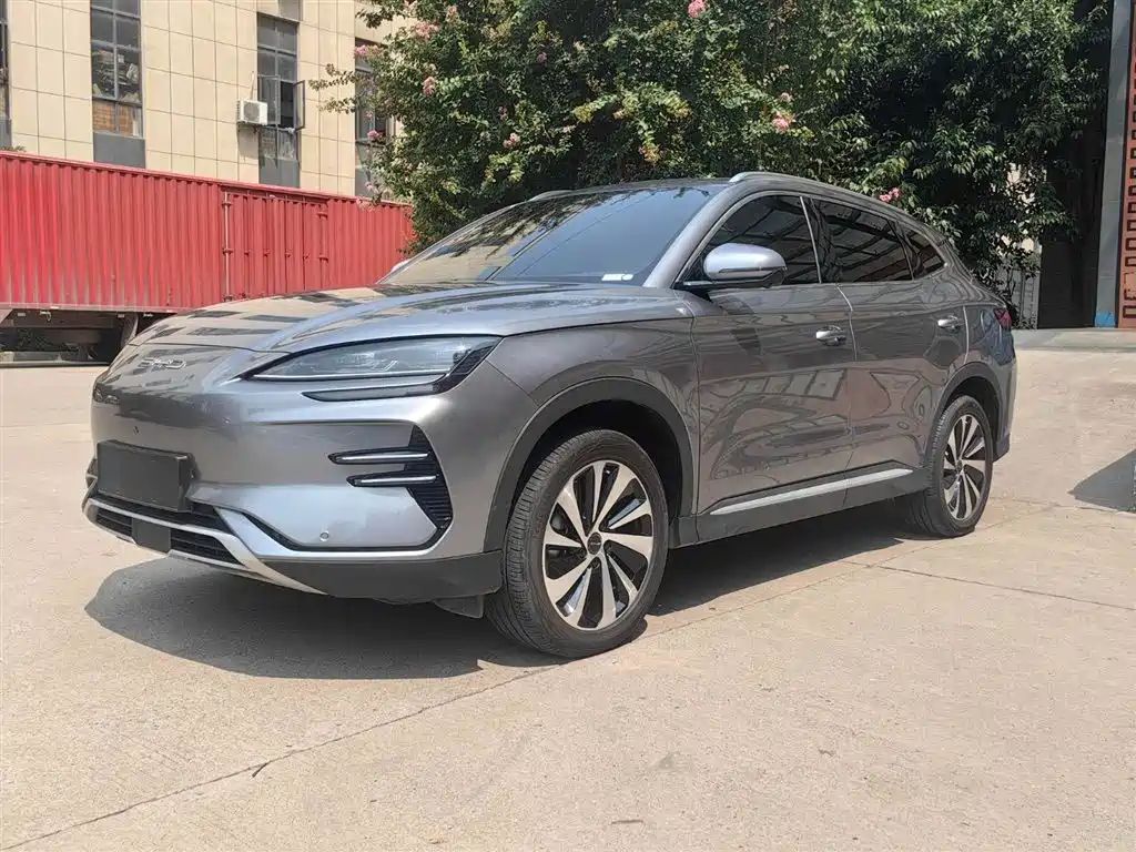 BYD PLUS New Energy 2024