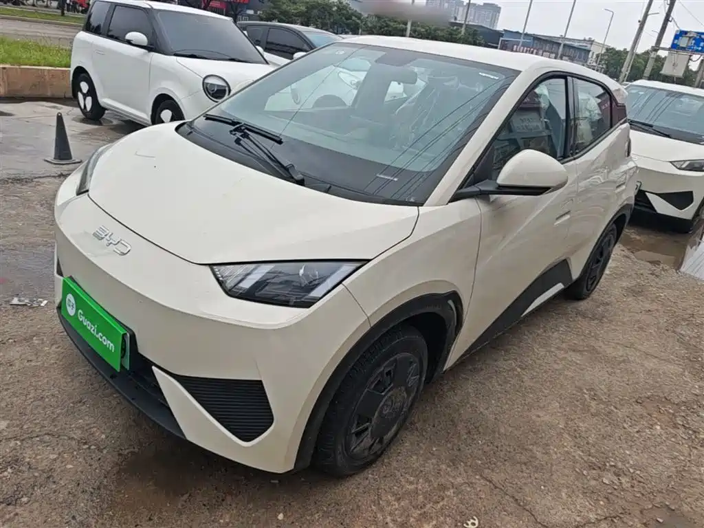 BYD Seagull 2026