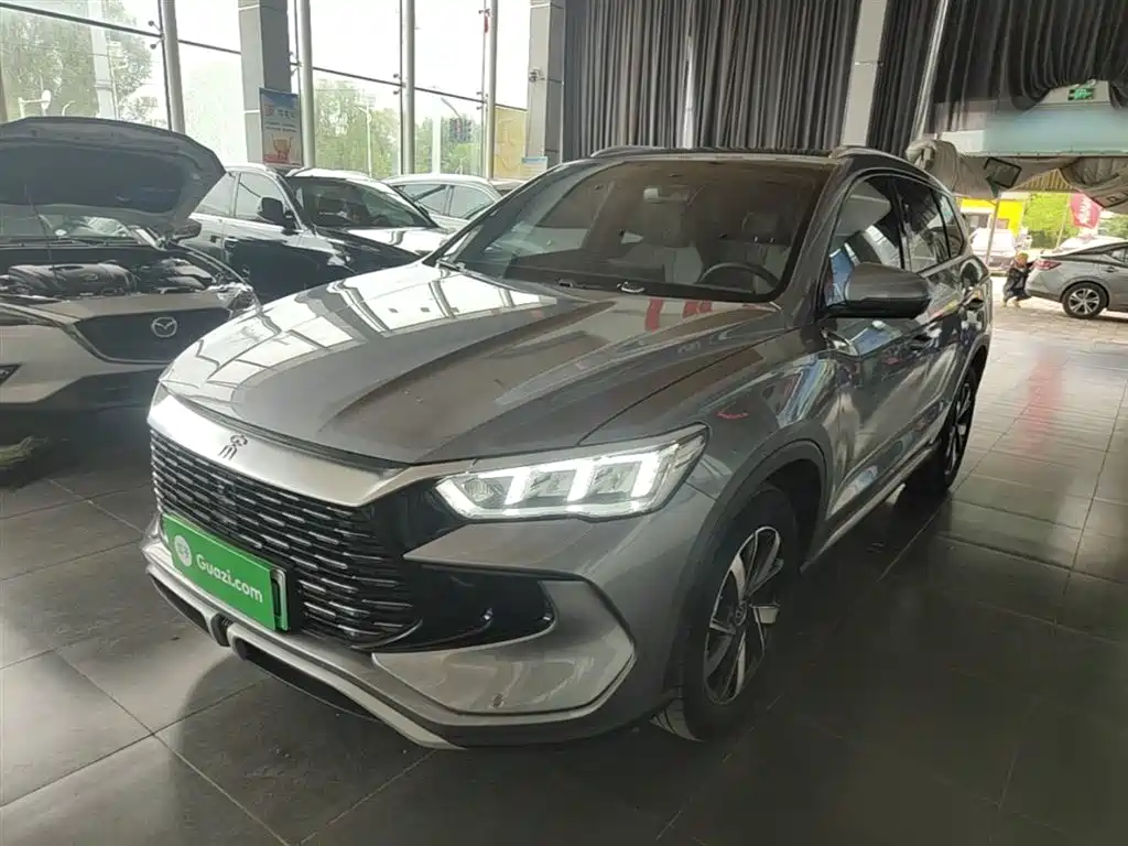 BYD Pro New Energy 2024