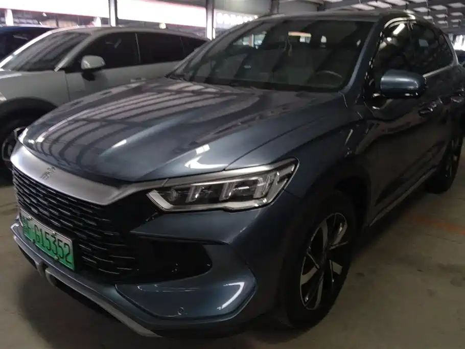 BYD Pro New Energy 2024
