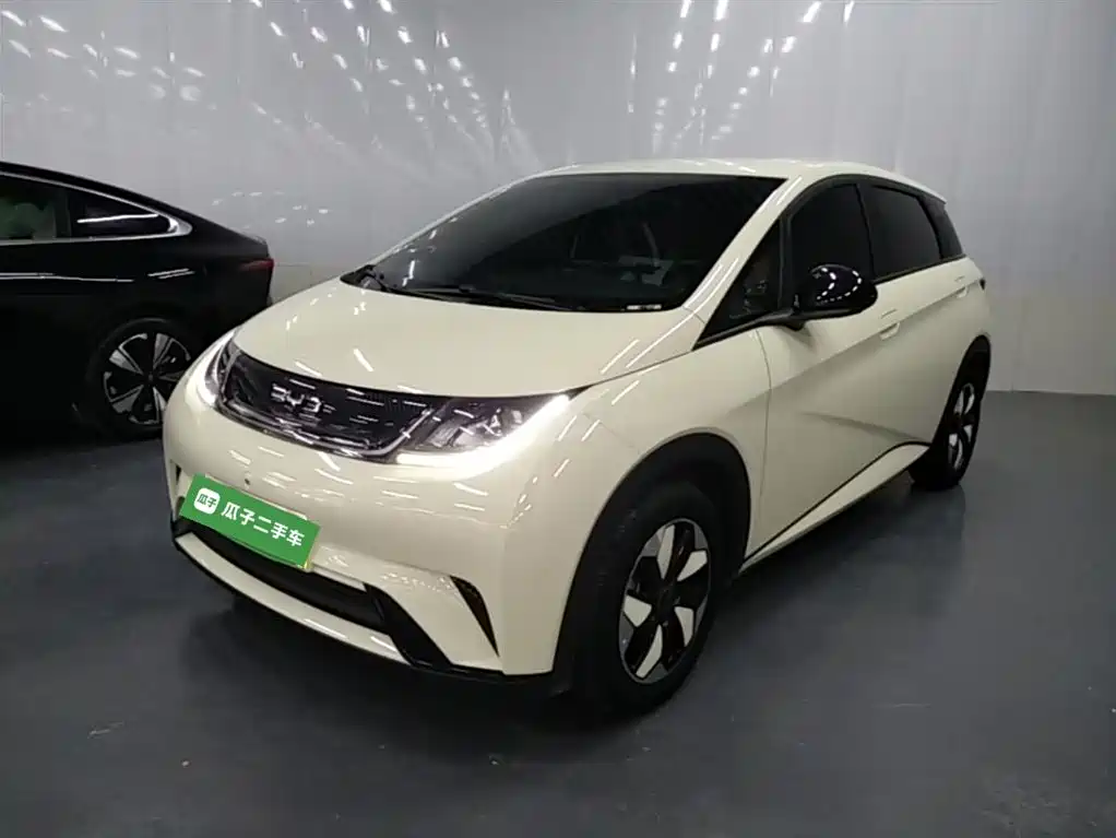 BYD Dolphin 2024
